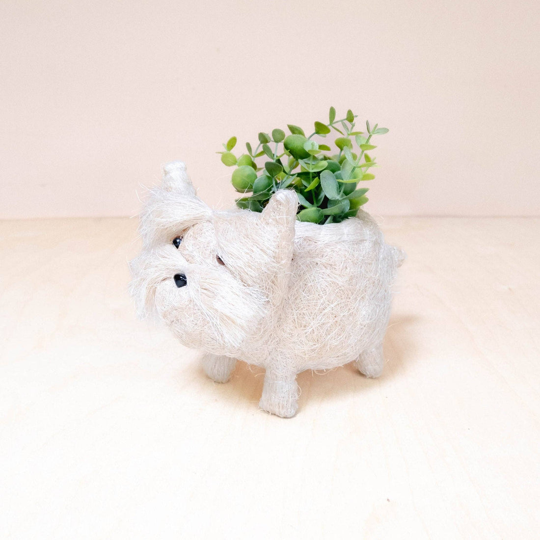 Baby Westie Planter