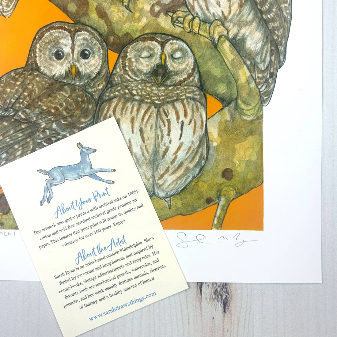 A Parliament of Owls - Archival Print