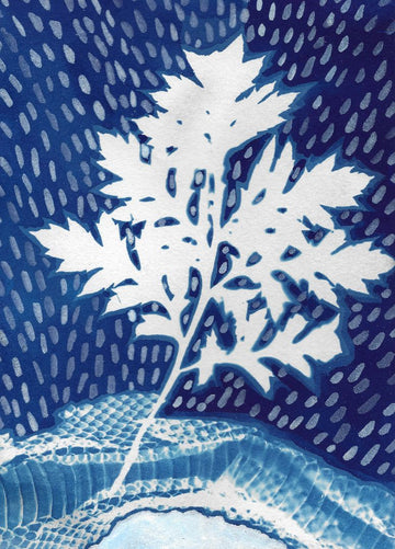 Signs Original Cyanotype