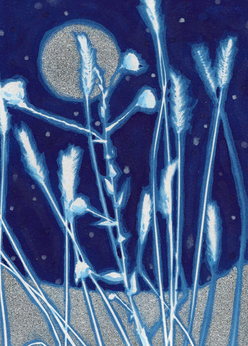 Stillness of the Night Original Cyanotype
