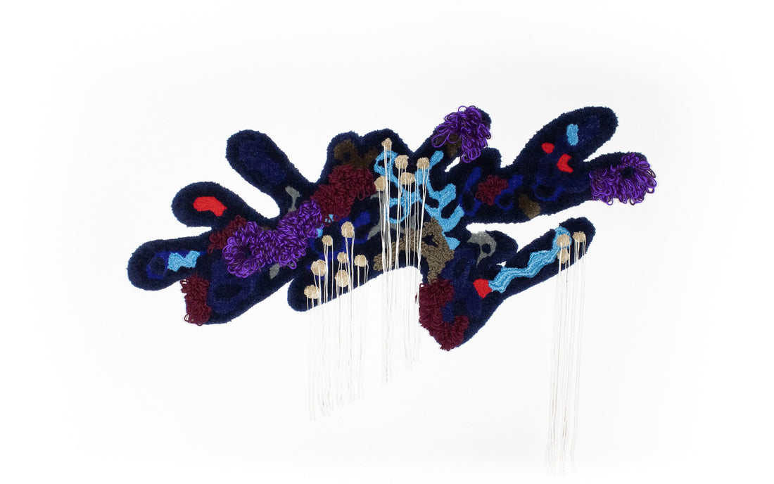 Vulturine Guinea Fowl Hen