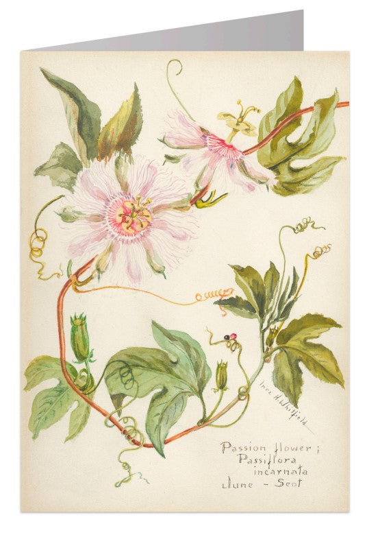 Passion Flower Notecard