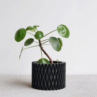 Mini Black 3D Planters