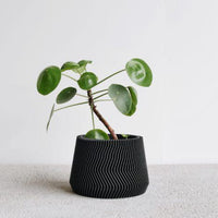 Mini Black 3D Planters
