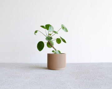 Mini Natural 3D Planters