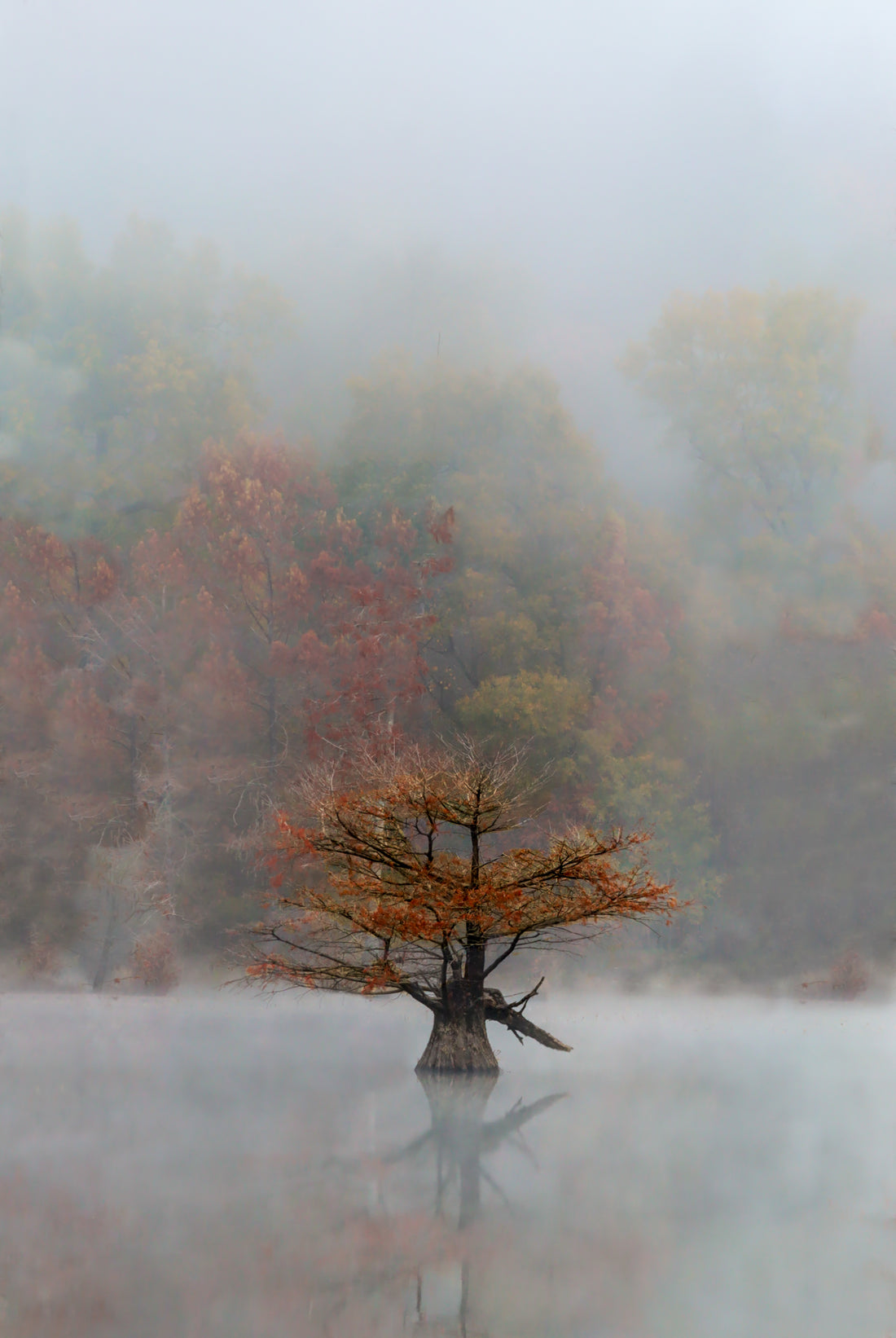Limited-Edition of 30, Release Photography Print
