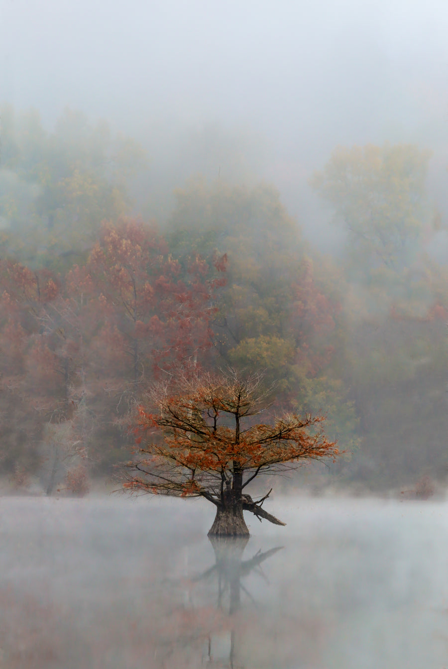 Limited-Edition of 30, Release Photography Print