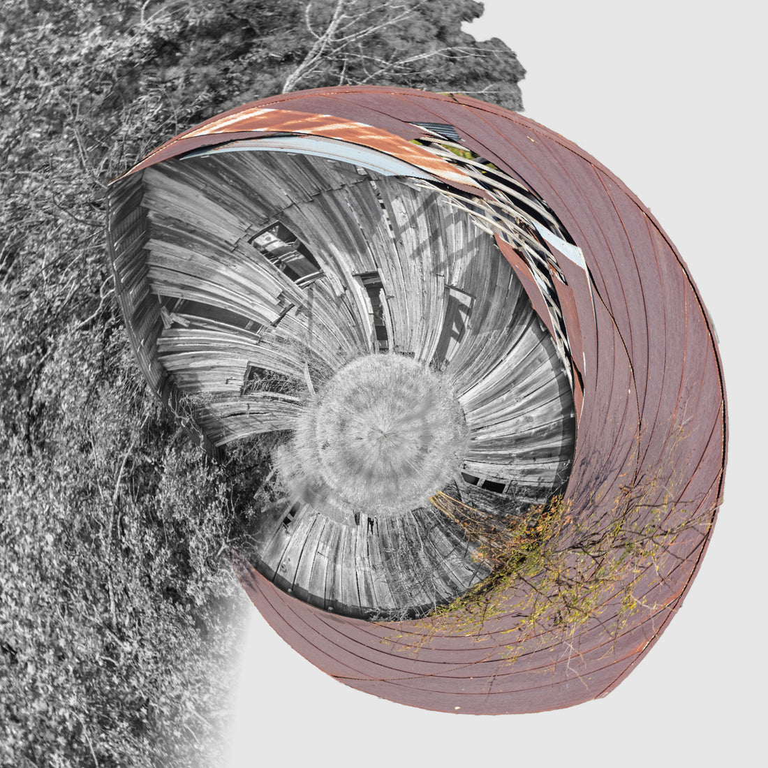 Limited-Edition of 30, Reticent Roundup Photography Print
