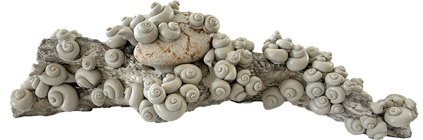 A Rout of Snails