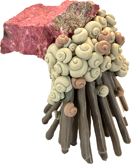 Runaway Snail Cluster