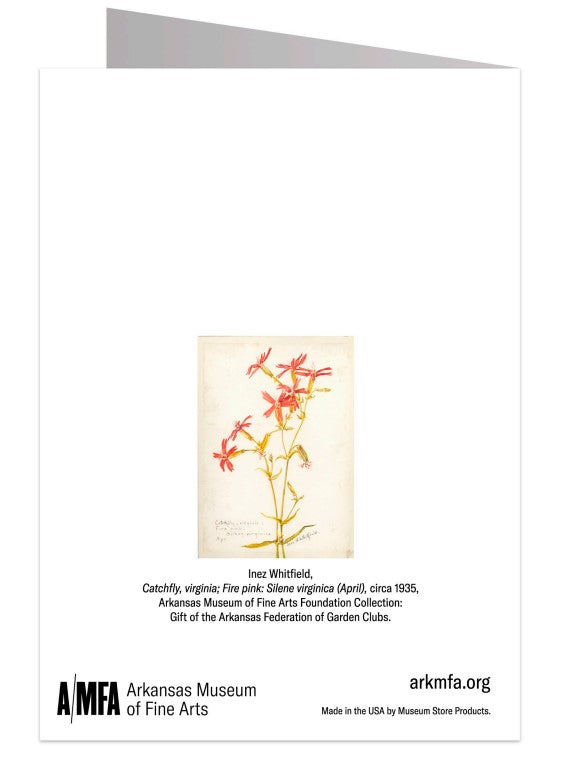 Catchfly Notecard
