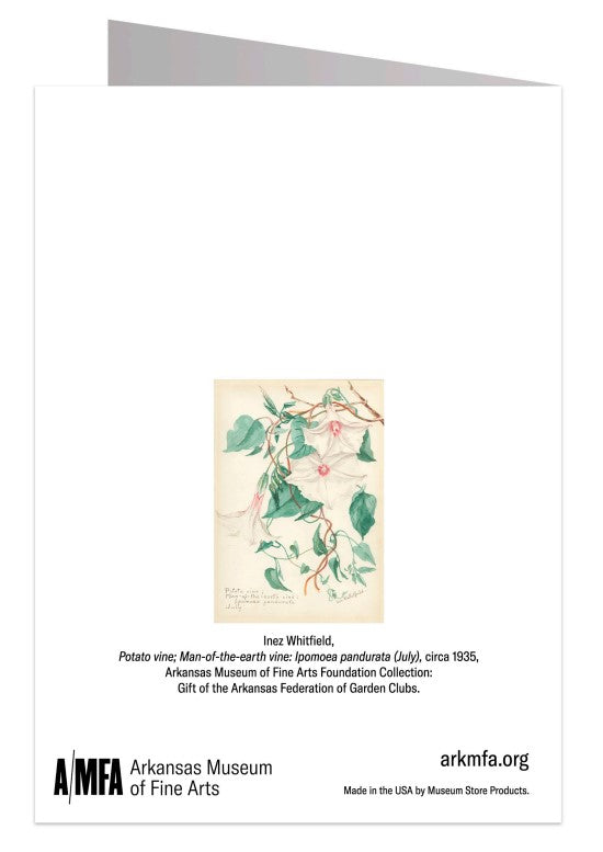 Potato Vine Notecard