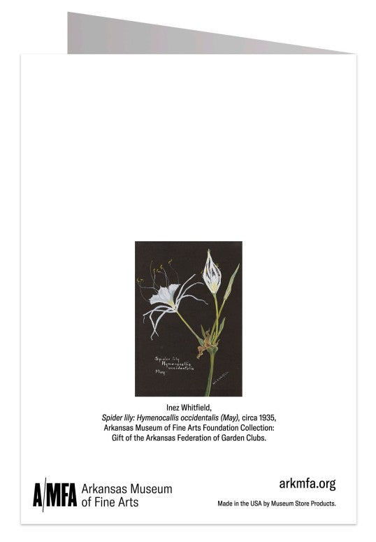 Spider Lily Notecard