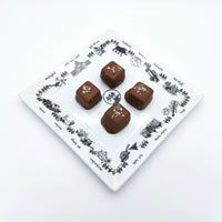 Milk Chocolate Sea Salt Caramels - 4 piece box