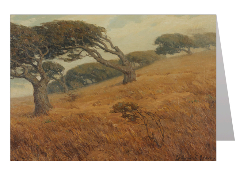 Windswept Notecard