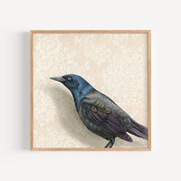 Grackle Fine Art Print