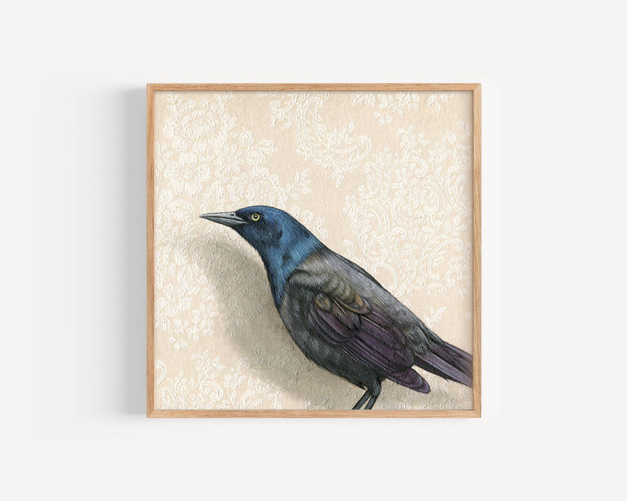 Grackle Fine Art Print