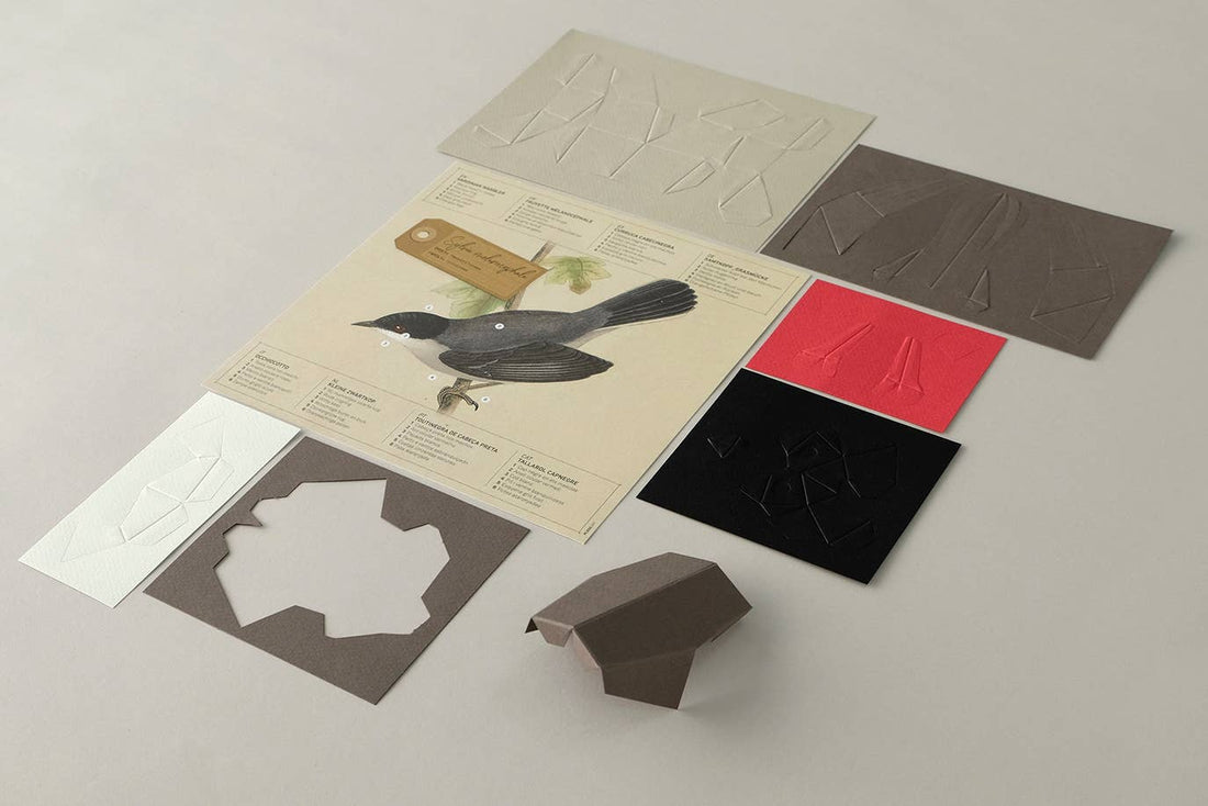 Sardinian Warbler Bird 3D Paper Figure Kit
