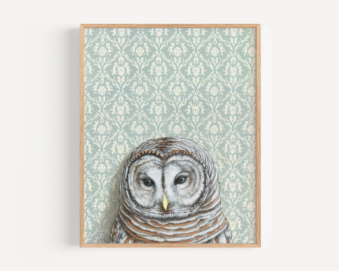 Barred Owl Light Blue Art Print