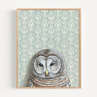 Barred Owl Light Blue Art Print