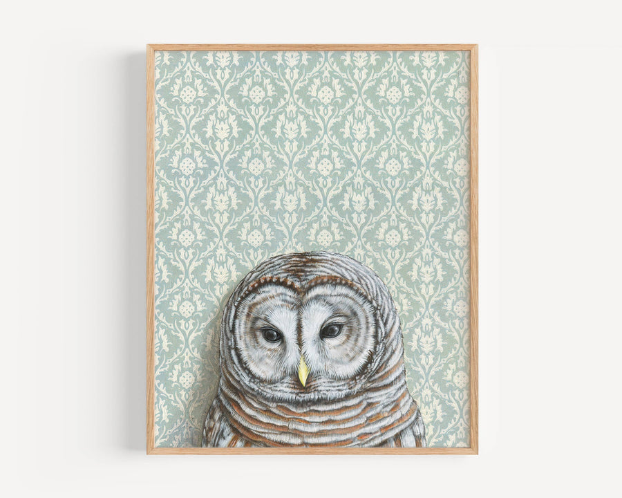 Barred Owl Light Blue Art Print