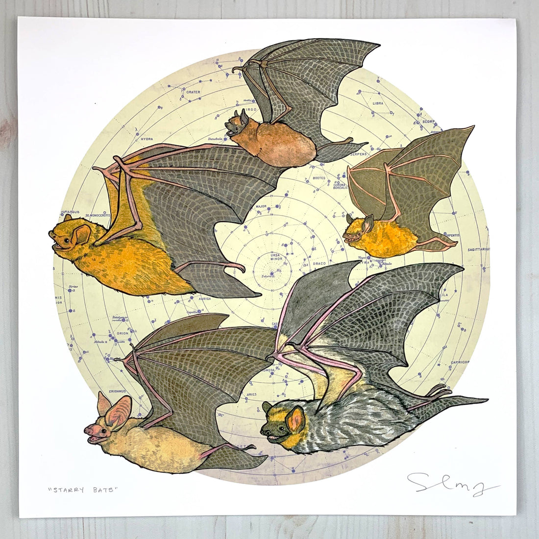 Starry Bats - North American Native Bats with Cream Background