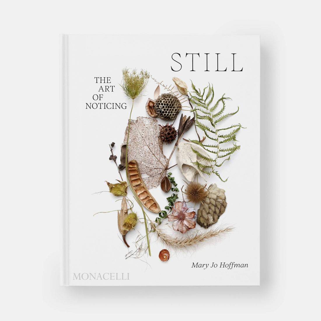 STILL: The Art of Noticing