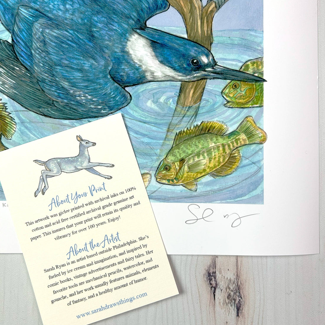 A Realm of Kingfishers - Archival Print