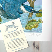 A Realm of Kingfishers - Archival Print