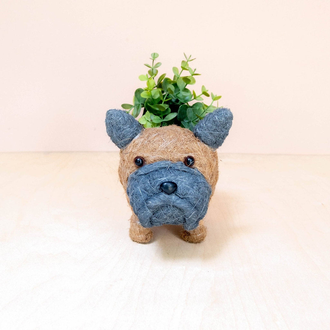 Baby French Bulldog Planter