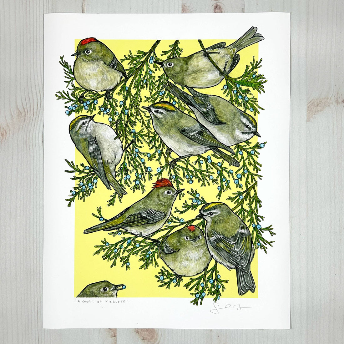 A Court of Kinglets - Archival Print