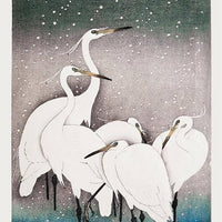 Five White Egrets in the Snow by Ohara Koson