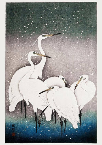 Five White Egrets in the Snow by Ohara Koson