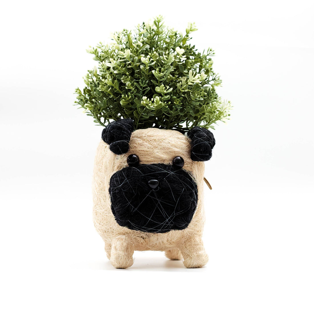 Pug Planter