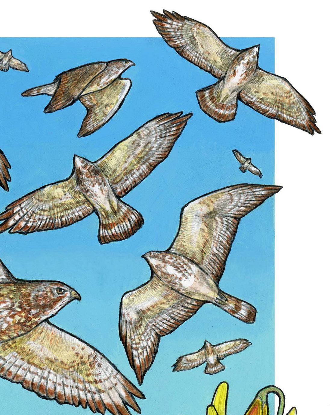 A Kettle of Hawks - Archival Print