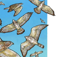 A Kettle of Hawks - Archival Print