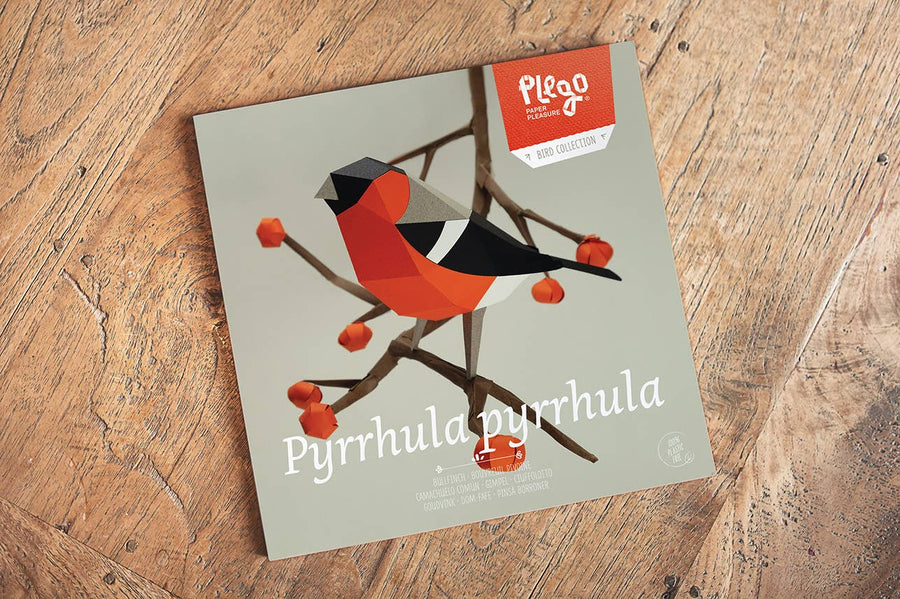 Bullfinch Bird 3D Paper Figure Kit