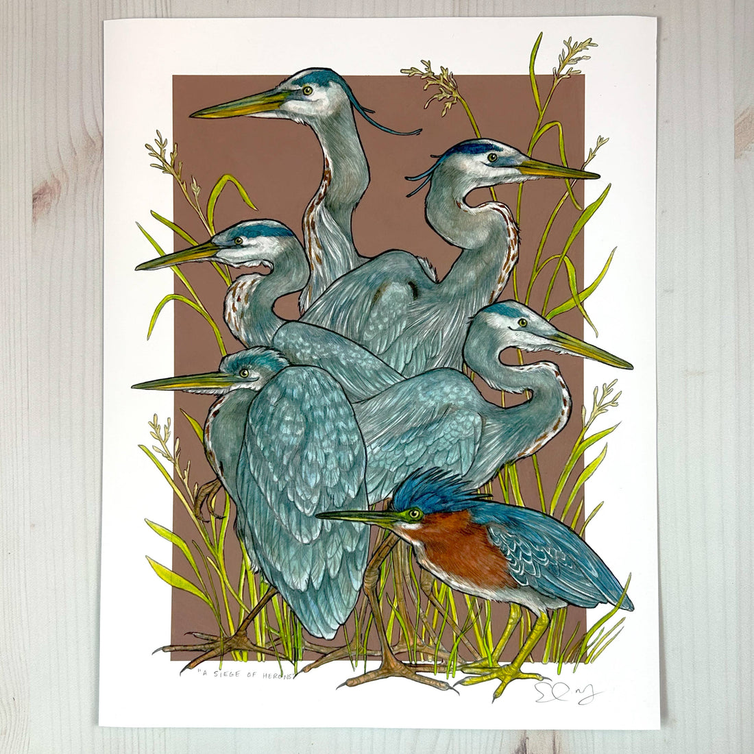 A Siege of Herons - Archival Print