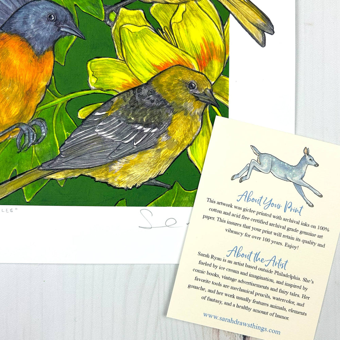 A Pitch of Orioles - Archival Print