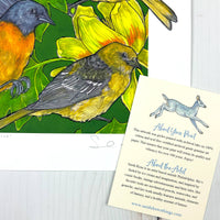 A Pitch of Orioles - Archival Print
