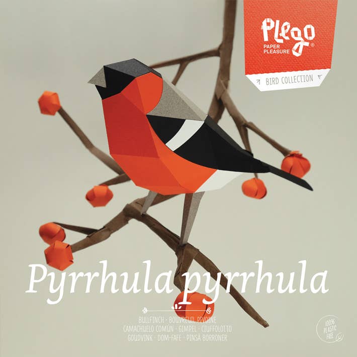 Bullfinch Bird 3D Paper Figure Kit