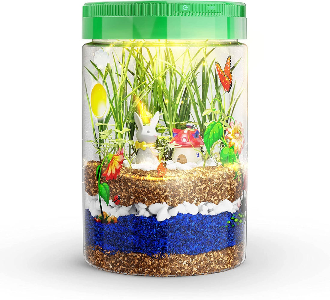 Light-Up Terrarium Kit