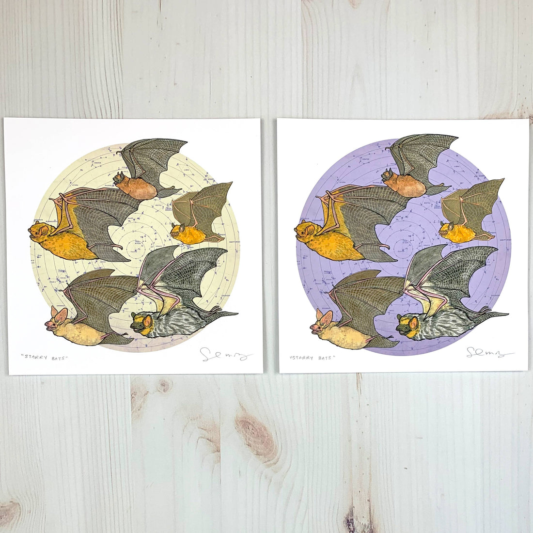 Starry Bats - North American Native Bats with Cream Background