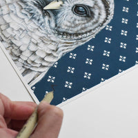 Barred Owl Dark Blue Art Print