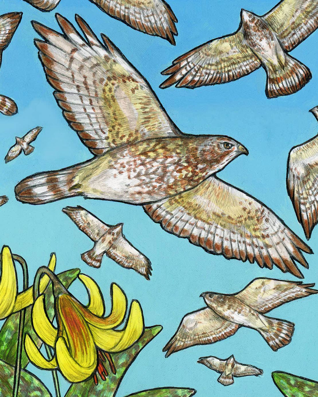 A Kettle of Hawks - Archival Print