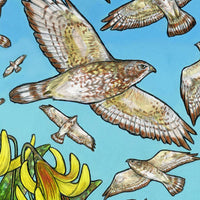 A Kettle of Hawks - Archival Print