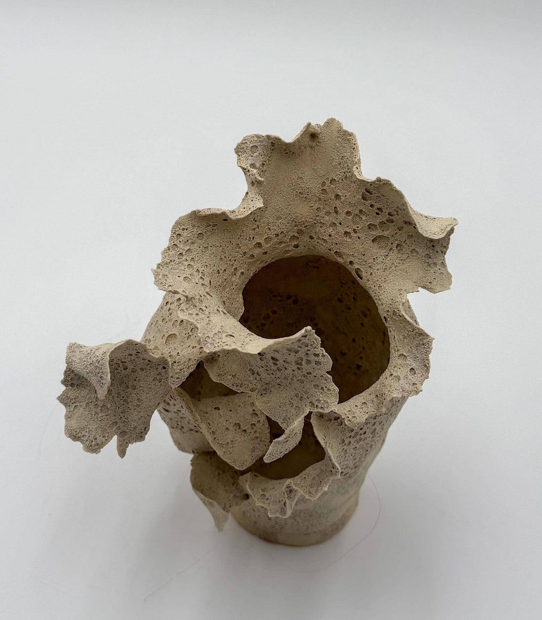 Erosion Bloom Vessel