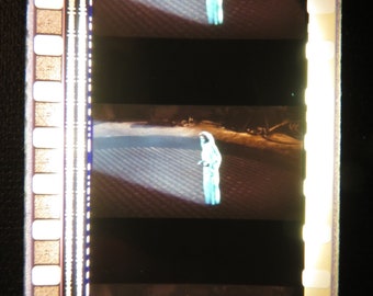 Actual Film Strips