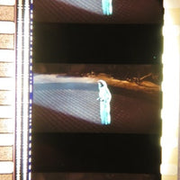 Actual Film Strips