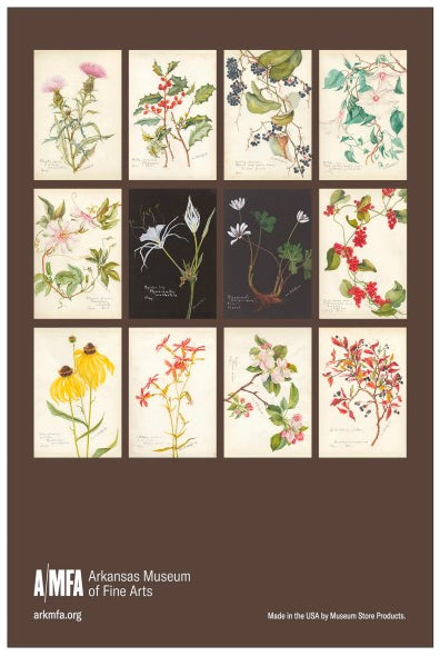 Inez Whitfield Postcard Set